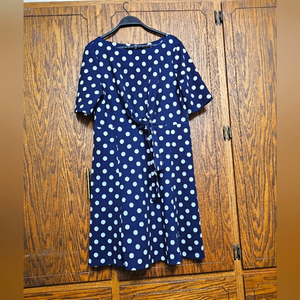 I le New York Navy polka dress Size 12